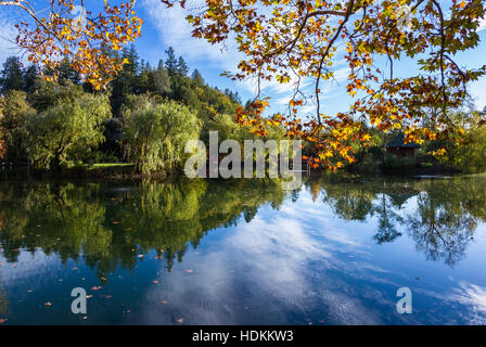 beruhigende Herbst Szene mit einem ruhigen Teich und Blätter in einer Vielzahl von Farben Stockfoto