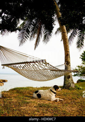 Lifuka Insel. Ha´apai Inseln. Tonga. Polynesien Stockfoto