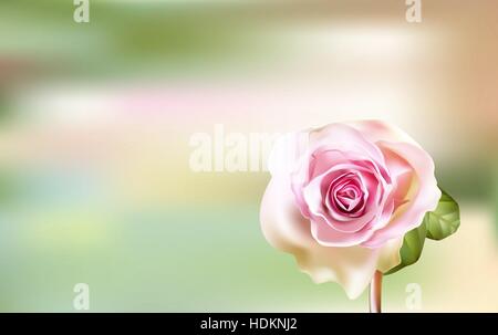 Zart rosa Rose auf grünem Hintergrund jedoch unscharf Stock Vektor