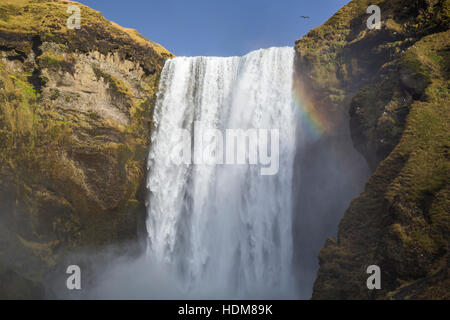 Die Skogafoss Wasserfälle im Süden Islands, Europa. Stockfoto