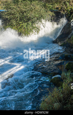 Closeup Aufnahme eines Teils der Tumwater fällt mit Büschen hängen über dem Wasser. Stockfoto