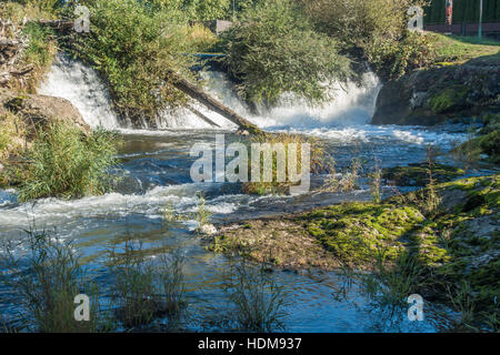 Closeup Aufnahme eines Teils der Tumwater fällt mit Büschen hängen über dem Wasser. Stockfoto