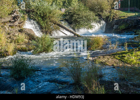 Closeup Aufnahme eines Teils der Tumwater fällt mit Büschen hängen über dem Wasser. Stockfoto