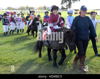 Im Bild heute Nachmittag - 17/10/16 vergessen das Grand National – das größte Pferderennen Ereignis auf dem Kalender in Sussex spielte junior Jockeys racing 'Moorcroft Rennpferd Wohlfahrt Zentrum Shetlandpony Gold Cup"in Plumpton Racecourse, in der Nähe Stockfoto