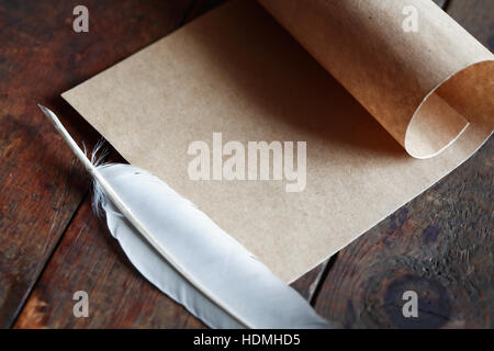 Literatur-Konzept. Papier und Feder Stift auf schönen alten hölzernen Hintergrund Stockfoto