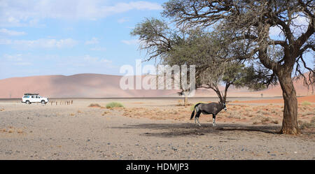 namibischen Landschaft Stockfoto