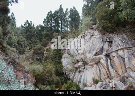 Geologische Formation im Parque Natural Corona Forestal, Mirador de la Piedra de la Rosa, Teneriffa, Kanarische Inseln, Spanien Stockfoto