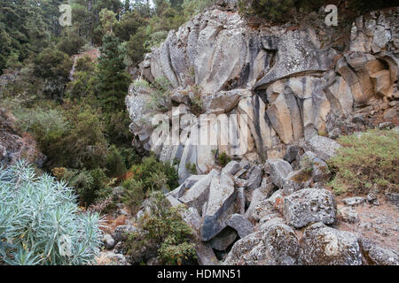 Geologische Formation im Parque Natural Corona Forestal, Mirador de la Piedra de la Rosa, Teneriffa, Kanarische Inseln, Spanien Stockfoto