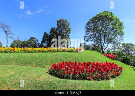 Schöne Blumenbeet Garten in Doi Tung Royal Botanical Gardens Stockfoto