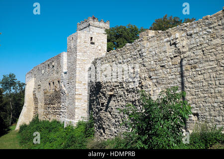 Die Ruinen der Eckartsburg in Eckartsberga, Thüringen, Deutschland Stockfoto