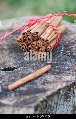 Cinnamom Sticks in einem rustikalen Hintergrund Stockfoto