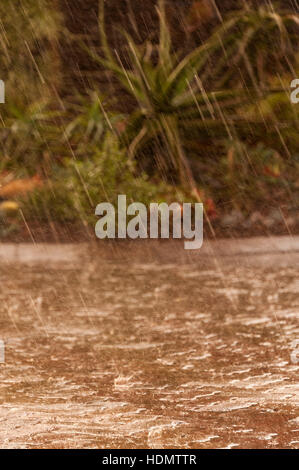 Regen gesehen in Harare, Simbabwe Stockfoto