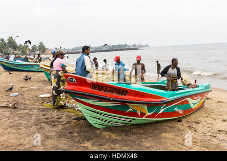 NEGOMBO, SRI LANKA - 30 NOVEMBER: Menschen sammeln Trockenfisch und stecken Sie in die Box am Strand von Negombo am 30. November 2016. Stockfoto