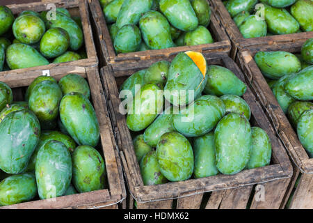 Mango-Frucht-Shop in Sri Lanka Stockfoto