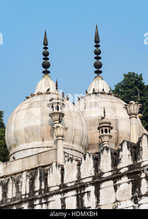 Kuppeln von Moti Masjid (Perle Moschee), Roten Fort, Alt-Delhi, Indien Stockfoto