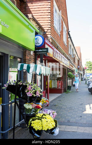 Bahnhof Ansatz, Virginia Wasser, Surrey, England, Vereinigtes Königreich Stockfoto