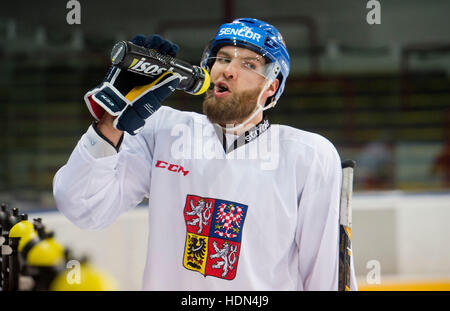 Prag, Tschechische Republik. 13. Dezember 2016. Tschechische Nationalmannschaft Eishockey-Spieler Adam Polasek in Aktion während des Trainings vor dem Channel One Cup-Turnier in Moskau und Helsinki in Prag, Tschechische Republik, 13. Dezember 2016. Das Turnier wird auf 15-18. Dezember gespielt. Die Tschechen werden Finnland in Helsinki am Donnerstag, den 15. Dezember spielen. Danach werden sie bewegen nach Moskau und Russland am Freitag spielen. Am Samstag werden sie Schweden spielen. © Vit Simanek/CTK Foto/Alamy Live-Nachrichten Stockfoto