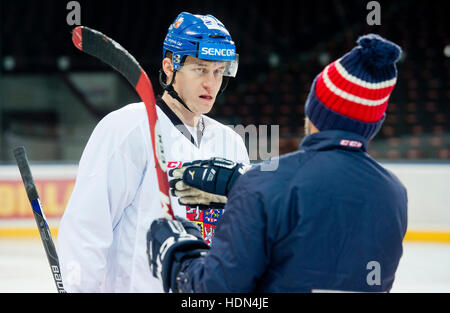 Prag, Tschechische Republik. 13. Dezember 2016. Tschechische Nationalmannschaft Eishockey-Spieler Lukas Radil in Aktion während des Trainings vor dem Channel One Cup-Turnier in Moskau und Helsinki in Prag, Tschechische Republik, 13. Dezember 2016. Das Turnier wird auf 15-18. Dezember gespielt. Die Tschechen werden Finnland in Helsinki am Donnerstag, den 15. Dezember spielen. Danach werden sie bewegen nach Moskau und Russland am Freitag spielen. Am Samstag werden sie Schweden spielen. © Vit Simanek/CTK Foto/Alamy Live-Nachrichten Stockfoto