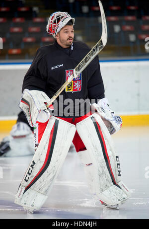 Prag, Tschechische Republik. 13. Dezember 2016. Tschechische Nationalmannschaft Eishockey Torwart Dominik Furch in Aktion während des Trainings vor dem Channel One Cup-Turnier in Moskau und Helsinki in Prag, Tschechische Republik, 13. Dezember 2016. Das Turnier wird auf 15-18. Dezember gespielt. Die Tschechen werden Finnland in Helsinki am Donnerstag, den 15. Dezember spielen. Danach werden sie bewegen nach Moskau und Russland am Freitag spielen. Am Samstag werden sie Schweden spielen. © Vit Simanek/CTK Foto/Alamy Live-Nachrichten Stockfoto