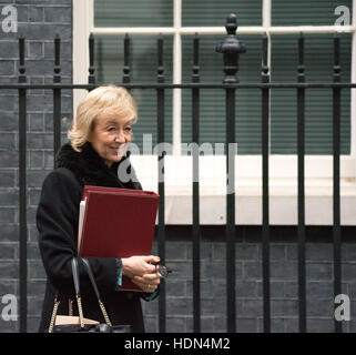 London, UK. 13. Dezember 2016.  Andera Leadsom, Umwelt-Sekretärin, Blätter 10 Downing Street Credit: Ian Davidson/Alamy Live News Stockfoto