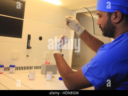 Anand, Gujarat, Indien. 16. November 2016. 16. November 2016: Anand - Indien. Eine Laborantin bei der Arbeit im Fertization Labor in Akanksha Krankenhaus & Forschungszentrum in Gujarat. © Subhash Sharma/ZUMA Draht/Alamy Live-Nachrichten Stockfoto