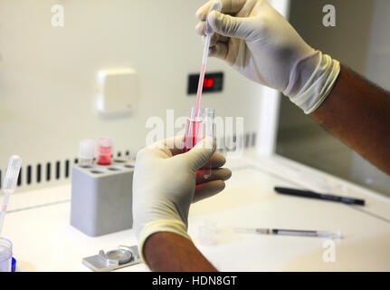 Anand, Gujarat, Indien. 16. November 2016. 16. November 2016: Anand - Indien. Eine Laborantin bei der Arbeit im Labor Fertization © Subhash Sharma/ZUMA Draht/Alamy Live News Stockfoto