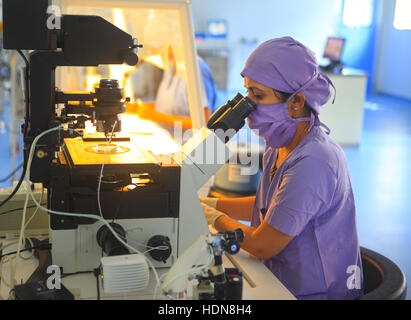 Anand, Gujarat, Indien. 16. November 2016. 16. November 2016: Anand - Indien. Ein Arzt bei der Arbeit im Fertization Labor in Akanksha Krankenhaus & Forschungszentrum in Gujarat. © Subhash Sharma/ZUMA Draht/Alamy Live-Nachrichten Stockfoto