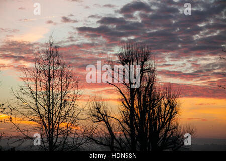 Wimbledon, London, UK. 14. Dezember 2016. Die Silhouette Form der Bäume in Wimbledon bei einem Firesky Sonnenaufgang schaffen atemberaubende Farben Credit: Amer Ghazzal/Alamy Live-Nachrichten Stockfoto