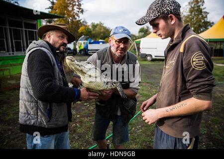 Tschechische Republik. 22. Oktober 2016. Hinter den Kulissen des täglichen Lebens von den Zirkusleuten in Tschechien (Hradec Kralove, Olomouc) © David Tesinsky/ZUMA Draht/Alamy Live News Stockfoto