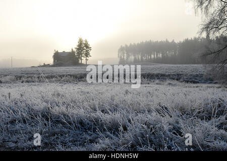 Schöne Landschaft mit frostigen Gras, verlassenen Haus und Himmel, wo die Sonne durch die Wolken und Nebel scheint. Stockfoto