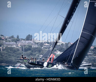 Sydney, Australien. 13. Dezember 2016. Anthony Bell "Ewige Treue" Rennen in der CYCA 2016 Big Boat Challenge im Hafen von Sydney. Der Cruising Yacht Club of Australia Charity-Event ist ein Test von Geschwindigkeit und Ausdauer an der Spitze bis zum Anfang des Rolex Sydney Hobart Yacht Race. Bildnachweis: Hugh Peterswald/Pacific Press/Alamy Live-Nachrichten Stockfoto