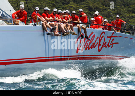 Sydney, Australien. 13. Dezember 2016. Crew von "Wild Oats XI' skippered durch Mark Richards im Bild während der CYCA 2016 Big Boat Challenge im Hafen von Sydney. Der Cruising Yacht Club of Australia Charity-Event ist ein Test von Geschwindigkeit und Ausdauer an der Spitze bis zum Anfang des Rolex Sydney Hobart Yacht Race. Bildnachweis: Hugh Peterswald/Pacific Press/Alamy Live-Nachrichten Stockfoto