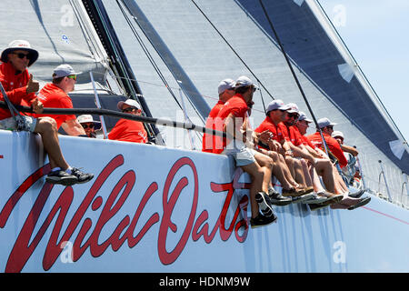 Sydney, Australien. 13. Dezember 2016. Crew von "Wild Oats XI' skippered durch Mark Richards im Bild während der CYCA 2016 Big Boat Challenge im Hafen von Sydney. Der Cruising Yacht Club of Australia Charity-Event ist ein Test von Geschwindigkeit und Ausdauer an der Spitze bis zum Anfang des Rolex Sydney Hobart Yacht Race. Bildnachweis: Hugh Peterswald/Pacific Press/Alamy Live-Nachrichten Stockfoto