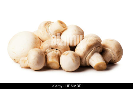 Frische braune Champignons Pilze isolierten auf weißen Hintergrund Stockfoto