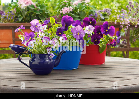 Lila Stiefmütterchen Blüten in blau und rot Töpfen über einen Balkon mit Tisch, Kopie oder Text Raum, Frühling Hintergrundvorlage Stockfoto