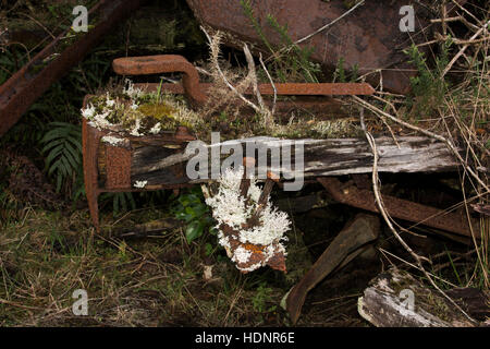 Einige Teile der Wagen weiterhin an die alte Eisenbahntrasse von charmanten Creek Coal Mine, Neuseelands Küste. Stockfoto