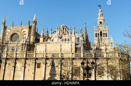 La Giralda, der Glockenturm der Kathedrale von Sevilla, Spanien, eine der größten Kirchen der Welt und ein erstaunliches Beispiel für die almohaden Architektur Stockfoto