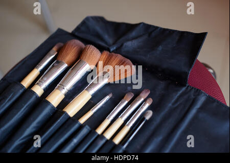 Make-up Pinsel in Schwarze Ledertasche Stockfoto