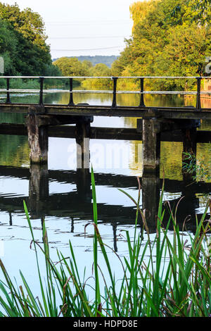 Ein Holzsteg über den Fluss Lea an Dobbs Wehr, Hoddesdon, Hertfordshire, Großbritannien Stockfoto