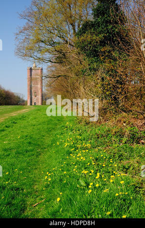 König Alfred Turm (auch bekannt als Stourton). Stockfoto