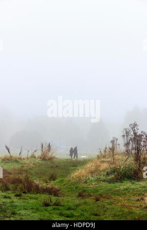 Zwei weit entfernte Figuren und einem Hund zu Fuß über eine Wiese, eingehüllt in Nebel Stockfoto