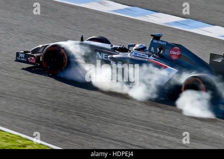 Formel 1-Test, Jerez Stockfoto