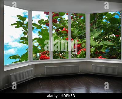 Fenster mit Blick auf den Garten mit roten reif Guelder-rose Stockfoto