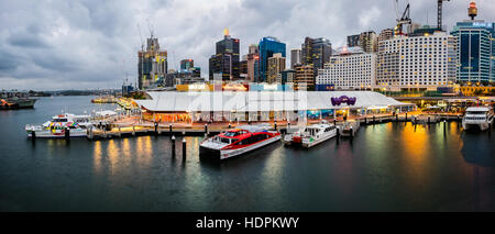 Grauer Himmel und goldenes Licht in Sydney Darling harbour Stockfoto