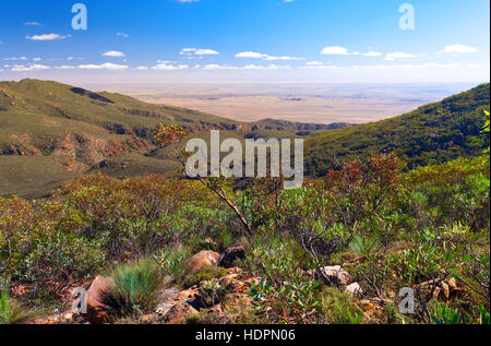 Landschaftsbild Outback Panorama Flinders reicht South Australia australischen Landschaften Wilpena Pound Stockfoto