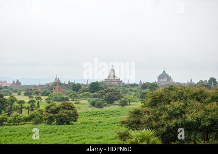 Tempel und Pagoden in Bagan-Ebene, Myanmar Stockfoto