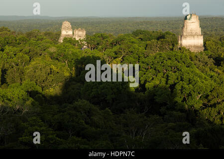 Blick auf Sonnenuntergang der Tempel I, II und III von Tempel IV in die Maya-Ausgrabungen von Tikal National Park, Guatemala.  Der Schatten der Tempel IV ist Stockfoto