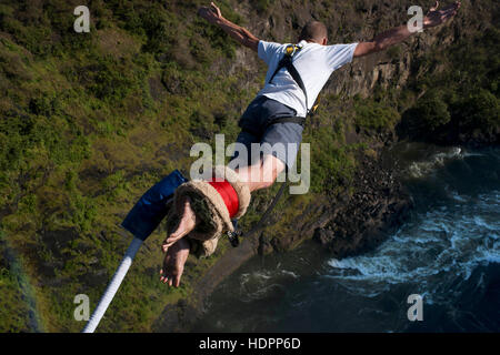 Bungee-Jumping in Victoria fällt über den Sambesi. Sicherlich hat Bungee-Jumping 111 Meter über die Victoria Falls Bridge zu einer von den meisten Stockfoto