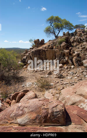 Wildnis mit Baum und Felsen auf dem Gebiet des Stammes Hadzabe, Lake Eyasi, Tansania Stockfoto