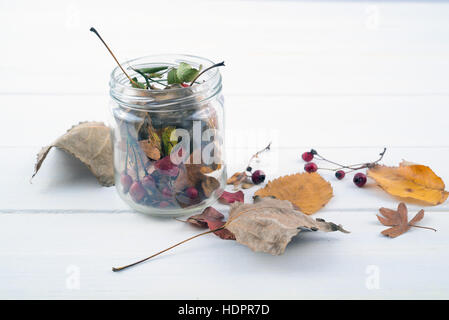 Glas Glas mit getrockneten Blättern und roten Beeren auf weißer Holztisch Stockfoto